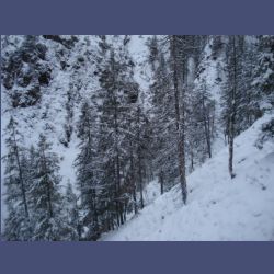 2013-02-02_Rappinschlucht_Lainlalm (088).jpg